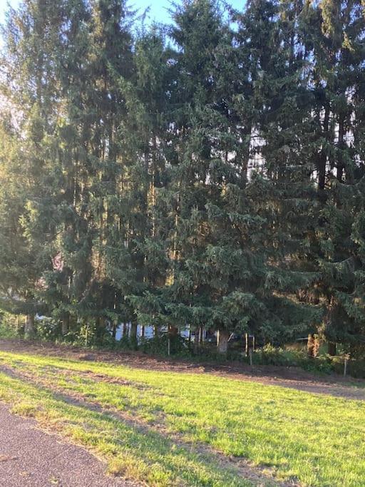 Schwarzwald Escape Guest House Gorwihl Bagian luar foto